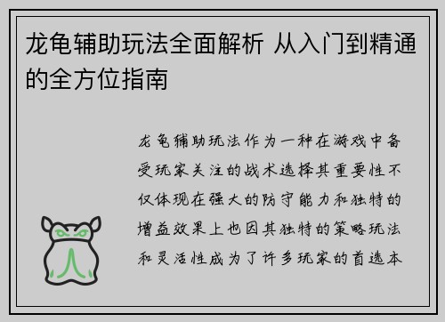 龙龟辅助玩法全面解析 从入门到精通的全方位指南